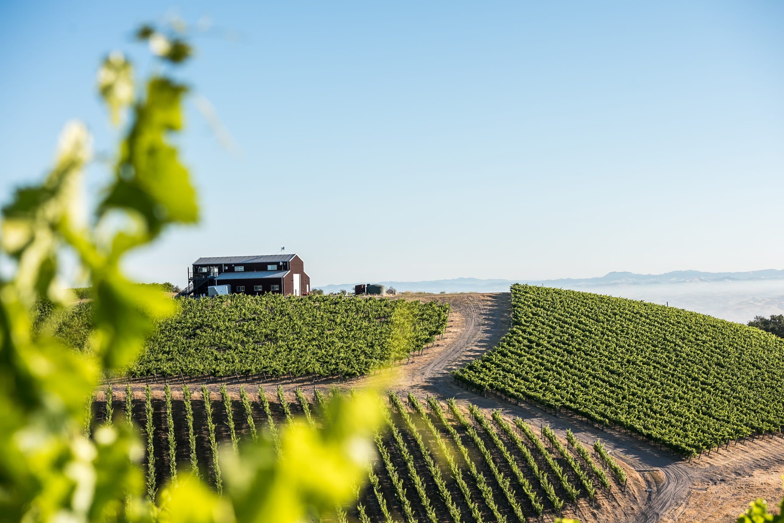 Alta Colina Vineyard & Winery